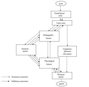 Figur 2 – The Dual-Route Cascaded Model